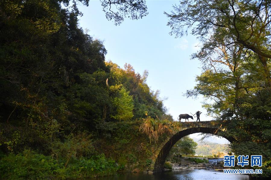 （圖文互動）（3）鄉村攝影師、鄉村“模特”、民宿店主——鄉村旅游推動婺源農民生活方式發生新變化