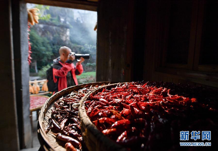 （圖文互動）（6）鄉村攝影師、鄉村“模特”、民宿店主——鄉村旅游推動婺源農民生活方式發生新變化