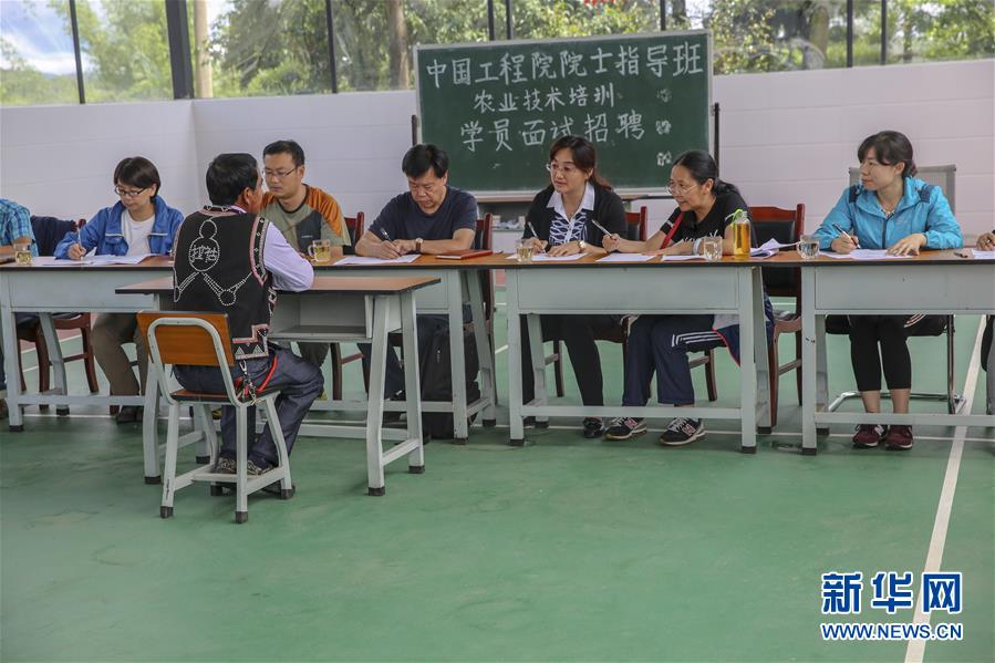 (新華全媒頭條·時(shí)代先鋒·圖文互動(dòng))(4)“要把論文寫在大地上”——記“農(nóng)民院士”朱有勇