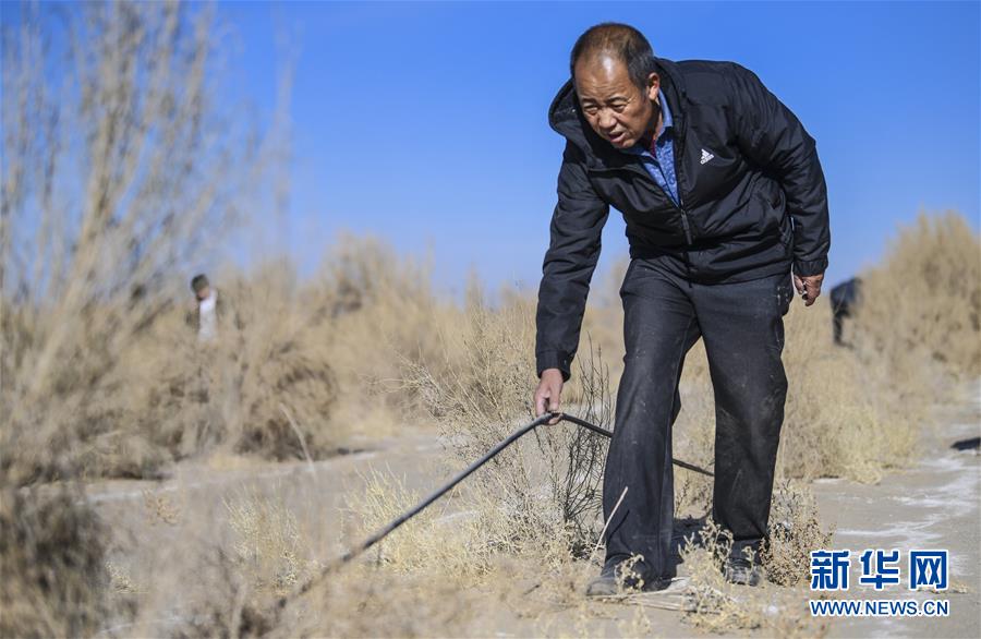 （新華全媒頭條·圖文互動(dòng)）（2）大漠小城的絕地反擊