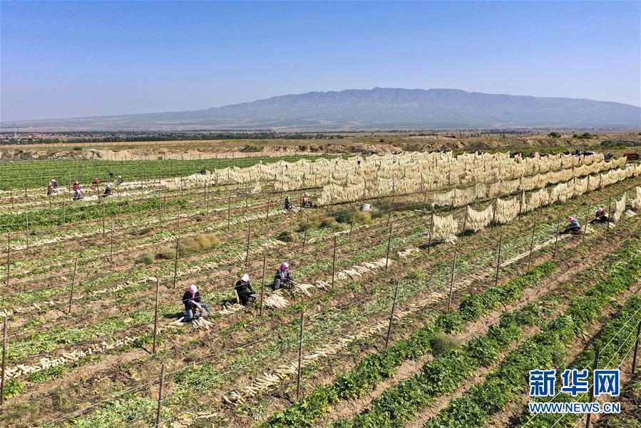 (新華全媒頭條·圖文互動)(13)從水困到水興——寧夏“水樣本”中的發展密碼