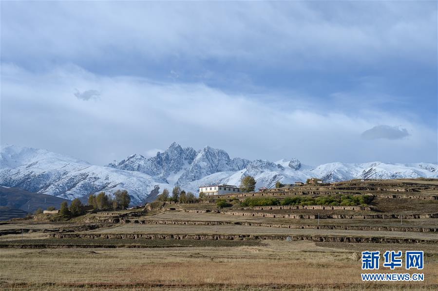 (新華全媒頭條·圖文互動)(14)格桑花開滿天路——寫在川藏公路通車65周年之際