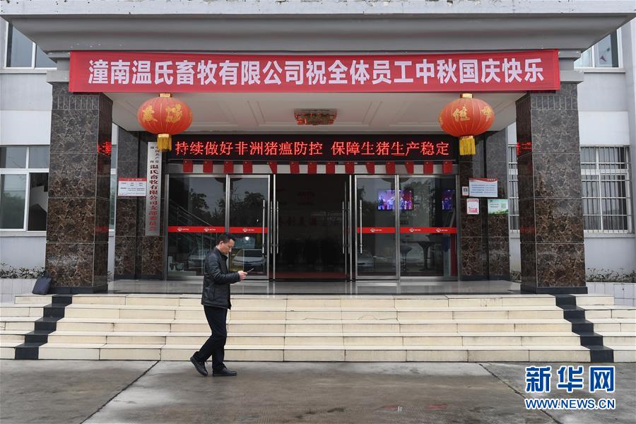 （在習(xí)近平新時代中國特色社會主義思想指引下——新時代新作為新篇章·總書記關(guān)切高質(zhì)量發(fā)展·圖文互動）（1）穩(wěn)住“一頭豬”、供好“一袋米”、配好“一籃菜