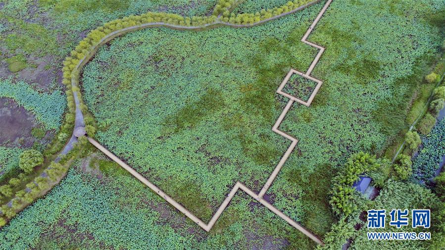 (新華全媒頭條·圖文互動)(9)大湖見證——長三角三大淡水湖綠色發展之路