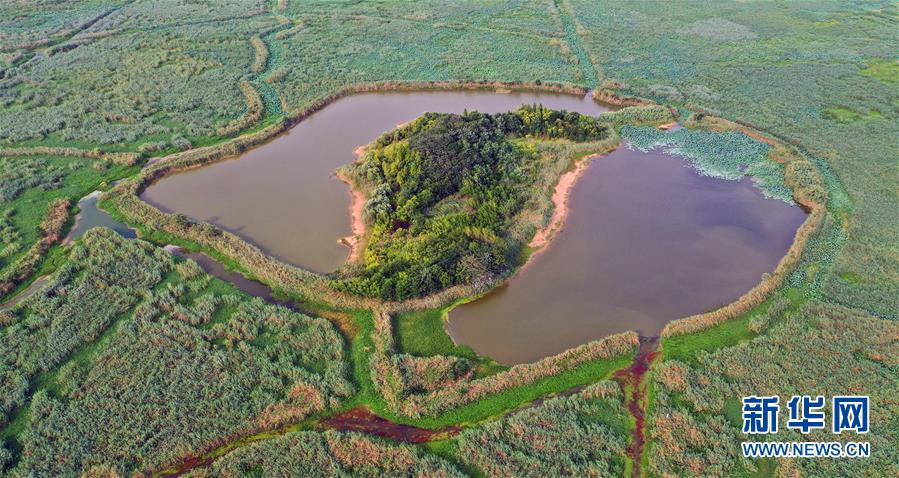 (新華全媒頭條·圖文互動)(13)大湖見證——長三角三大淡水湖綠色發展之路