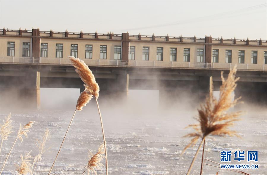 （環境）（4）黃河三盛公水利樞紐庫區出現“水煮黃河”景觀
