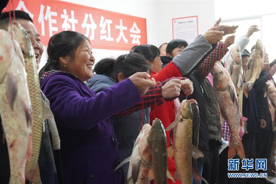 （新春走基層·圖文互動）（3）“空殼村”分紅啦！