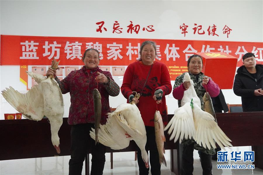 （新春走基層·圖文互動）（4）“空殼村”分紅啦！