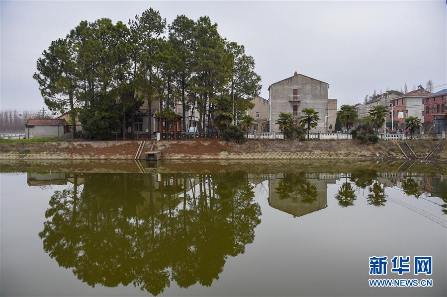 (聚焦疫情防控·圖文互動(dòng))(3)一個(gè)湖北村莊的阻擊戰(zhàn)