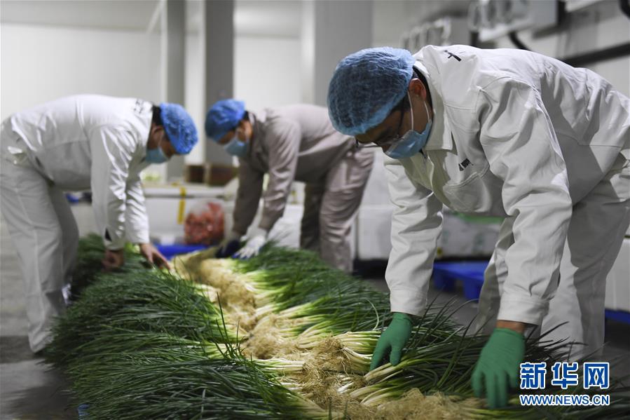 (圖文互動)(6)“早一天復工,損失就少一點”——廣西以精準防控推動復工復產一線見聞