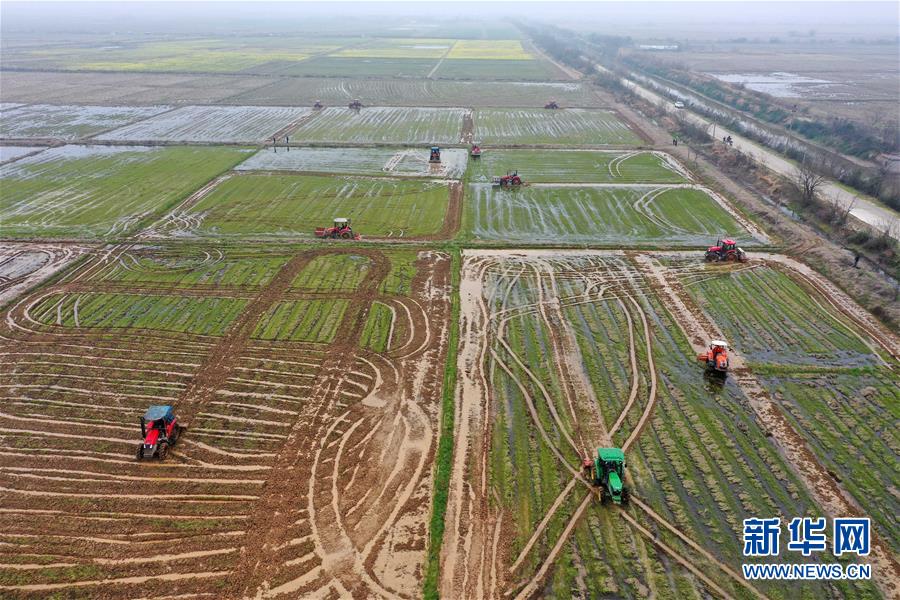 （抓好春耕備耕 穩住農業生產·圖文互動）（2）智能農機、“訂單”服務、“云端”種菜——來自江西的春耕“新事”