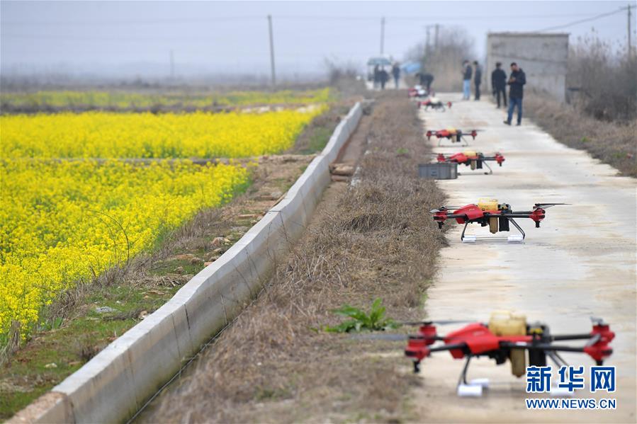 （抓好春耕備耕 穩住農業生產·圖文互動）（4）智能農機、“訂單”服務、“云端”種菜——來自江西的春耕“新事”
