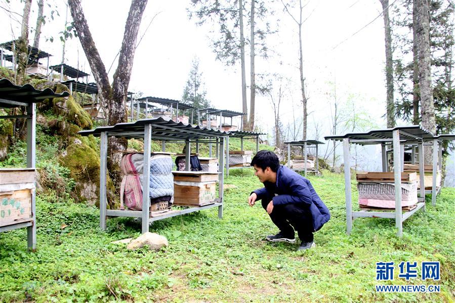 (決戰決勝脫貧攻堅·圖文互動)(3)寄相思,償夙愿——5封清明“家書”里的決戰決勝信念