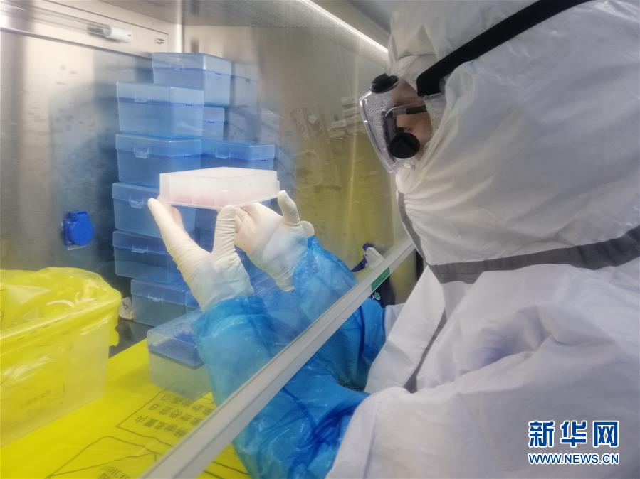 (一線抗疫群英譜·圖文互動(dòng))(2)“95后”大學(xué)生郝鶯歌:退掉車票,她選擇直面病毒