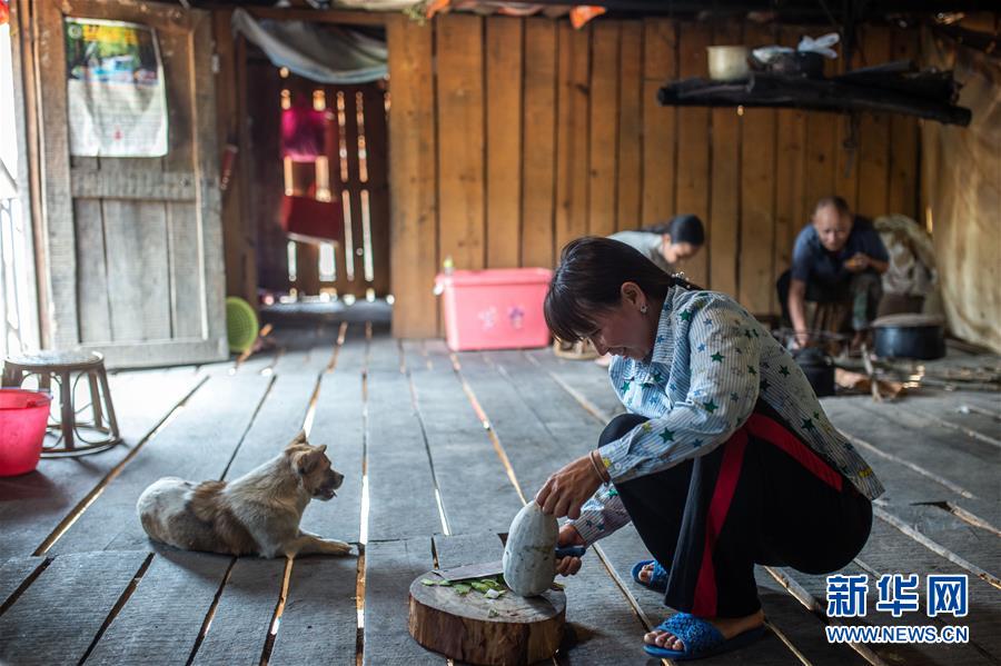 (決戰決勝脫貧攻堅·圖文互動)(8)“孩子再也不用學打獵了”——拉祜族女獵手告別狩獵