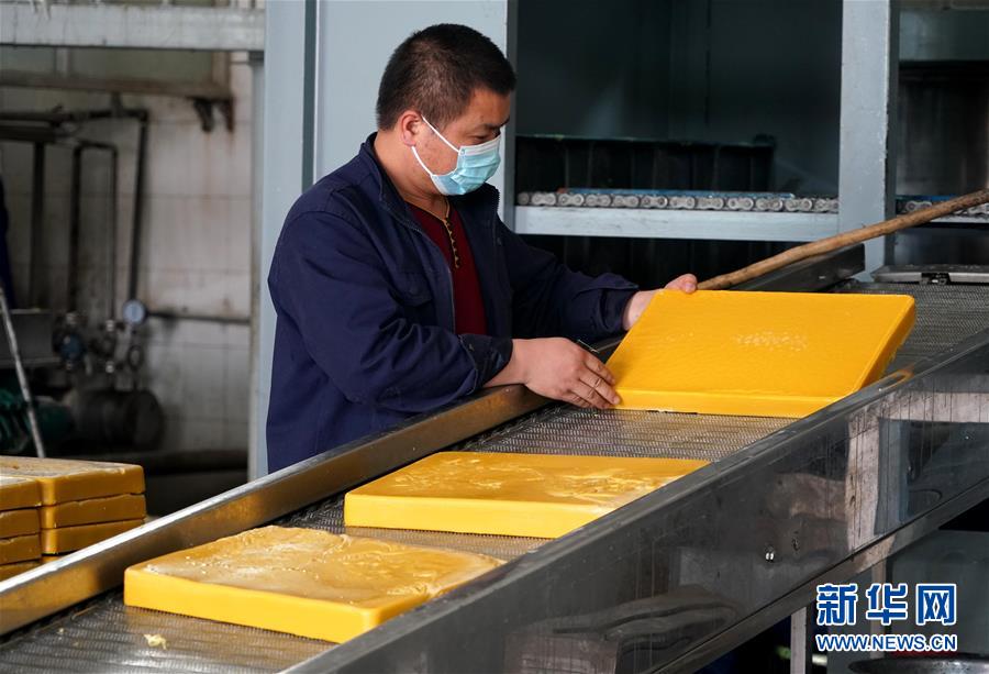 （來自一線的調查報告·圖文互動）（8）搶出一個身位謀發展——河南許昌經濟復蘇見聞