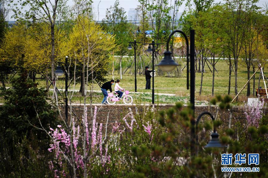 (聚焦疫情防控)(1)黑龍江縣市區疫情風險等級7日起均為低風險