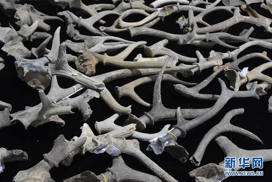 (圖文互動)(2)浙江余姚發現早于河姆渡文化1000年的史前遺址