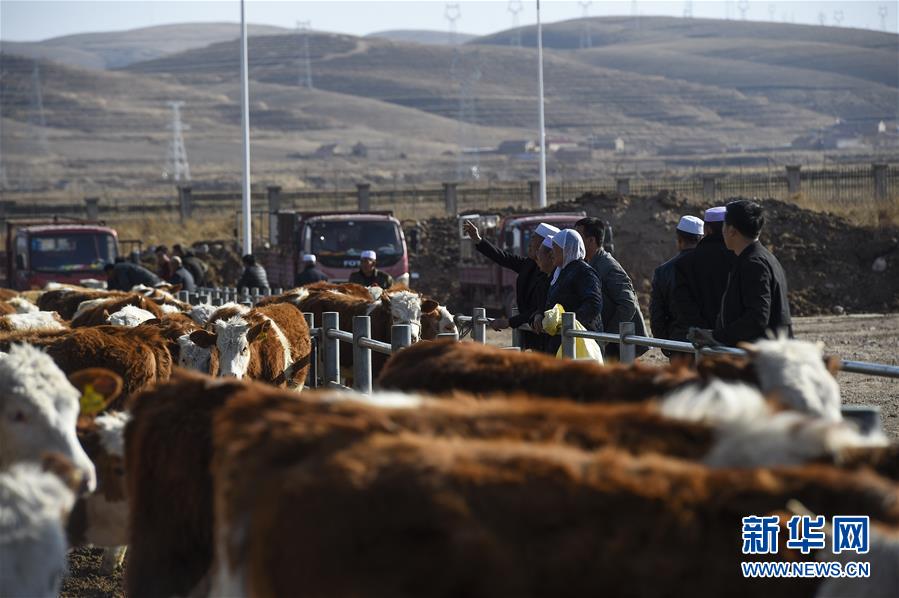 (在習近平新時代中國特色社會主義思想指引下——新時代新作為新篇章·習近平總書記關切事·圖文互動)(2)六盤山下的誓言——來自寧夏的脫貧故事