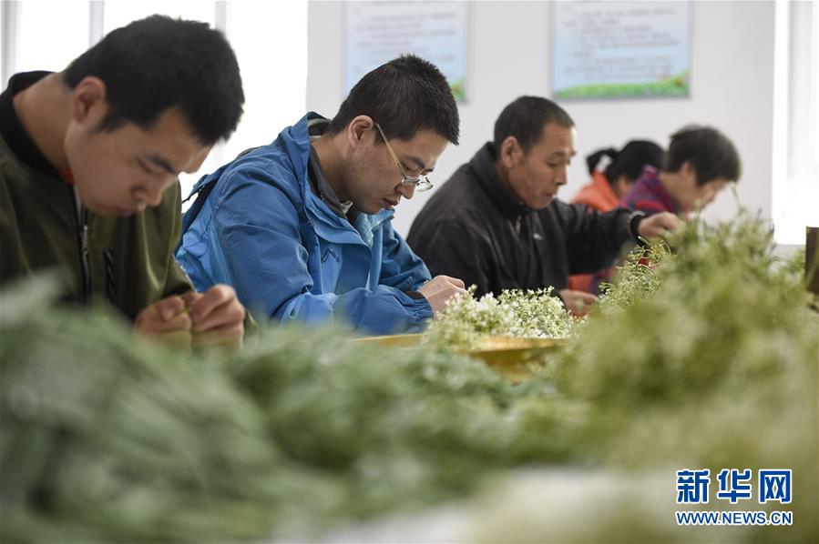 (在習近平新時代中國特色社會主義思想指引下——新時代新作為新篇章·習近平總書記關切事·圖文互動)(5)六盤山下的誓言——來自寧夏的脫貧故事