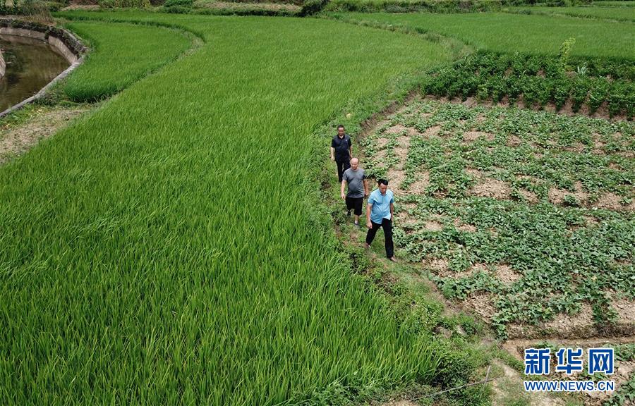 (圖文互動)(6)湘南深山,堅守扶貧一線的黨員之家