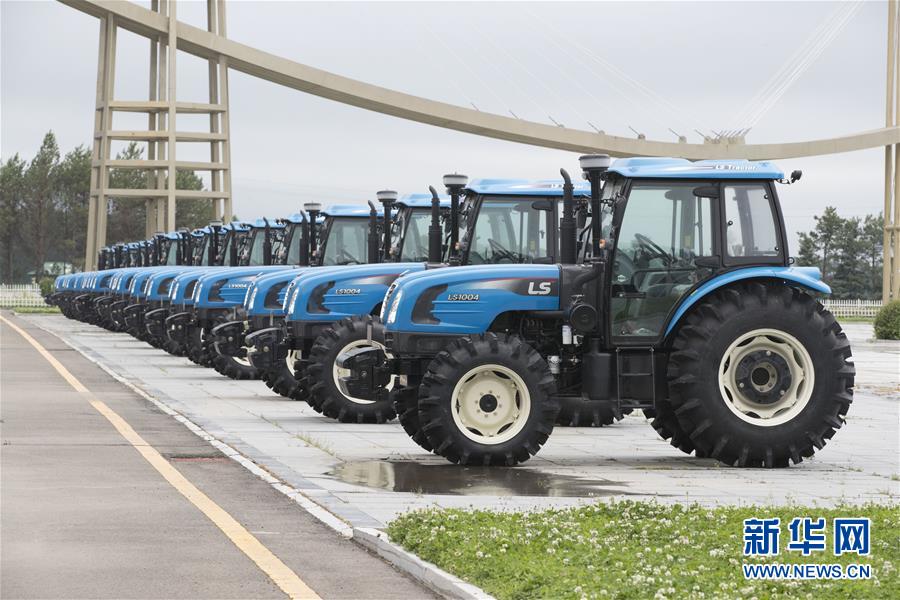 (走向我們的小康生活·圖文互動)(9)端牢“中國飯碗” 播種綠色小康