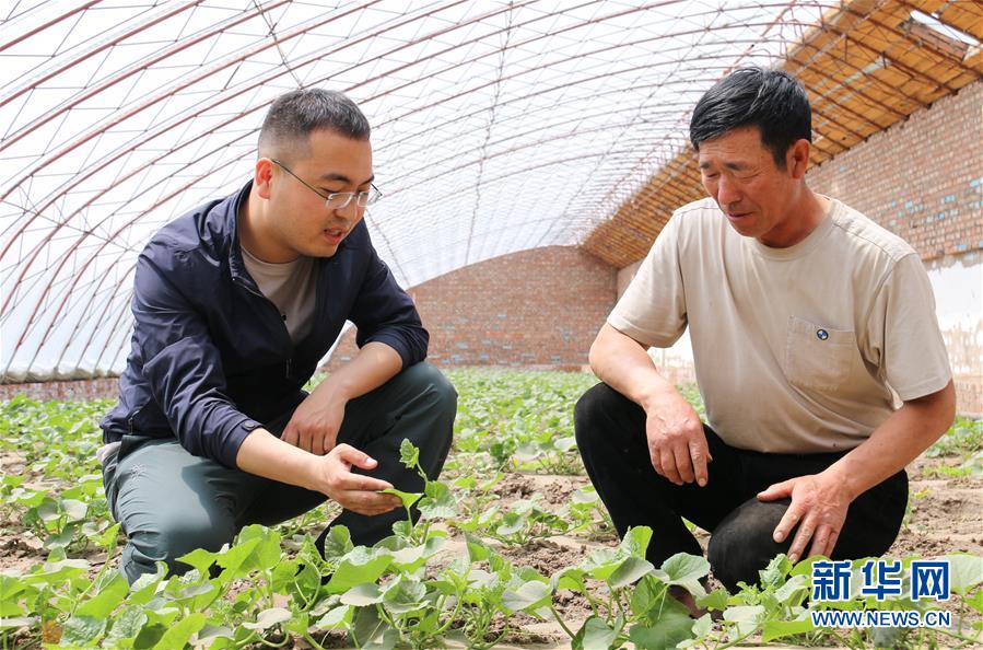 (決戰決勝脫貧攻堅·圖文互動)(1)跨越800公里去駐村的“小林書記”