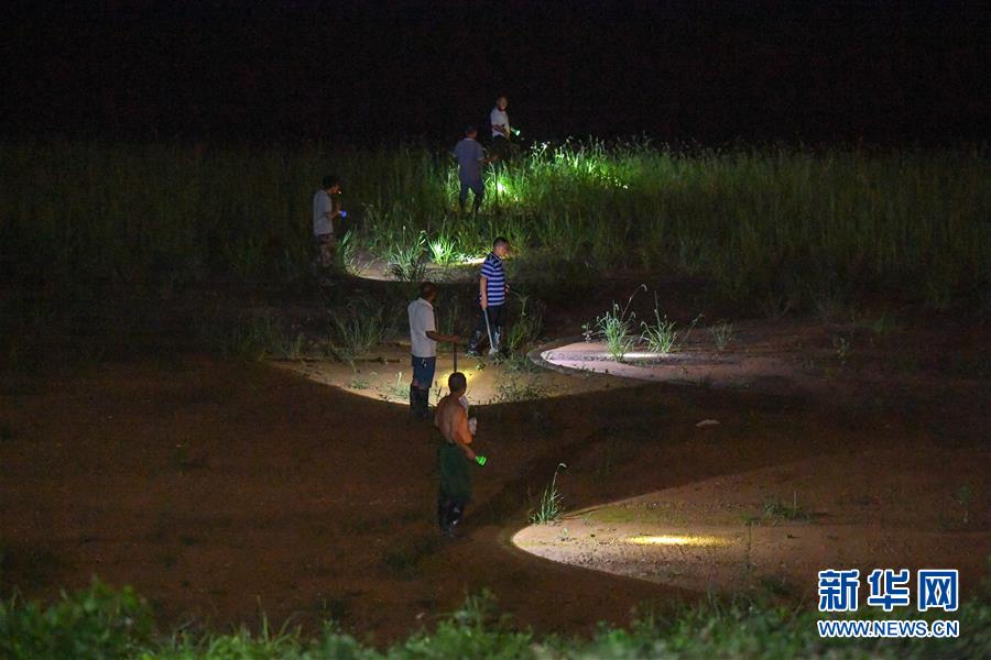 (防汛抗洪·圖文互動)(1)“三湖”超警汛情急 干群奮力保家園