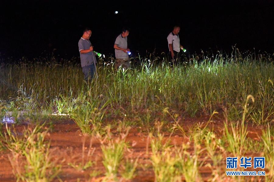 (防汛抗洪·圖文互動(dòng))(2)“保衛(wèi)家園,誰都不能是旁觀者”——夜訪洞庭湖大堤防汛一線