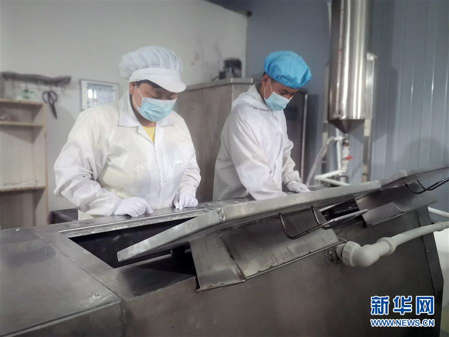 (中國網事·感動2020·圖文互動)(1)“90后”扶貧干部跨越千里當上“掛面書記”