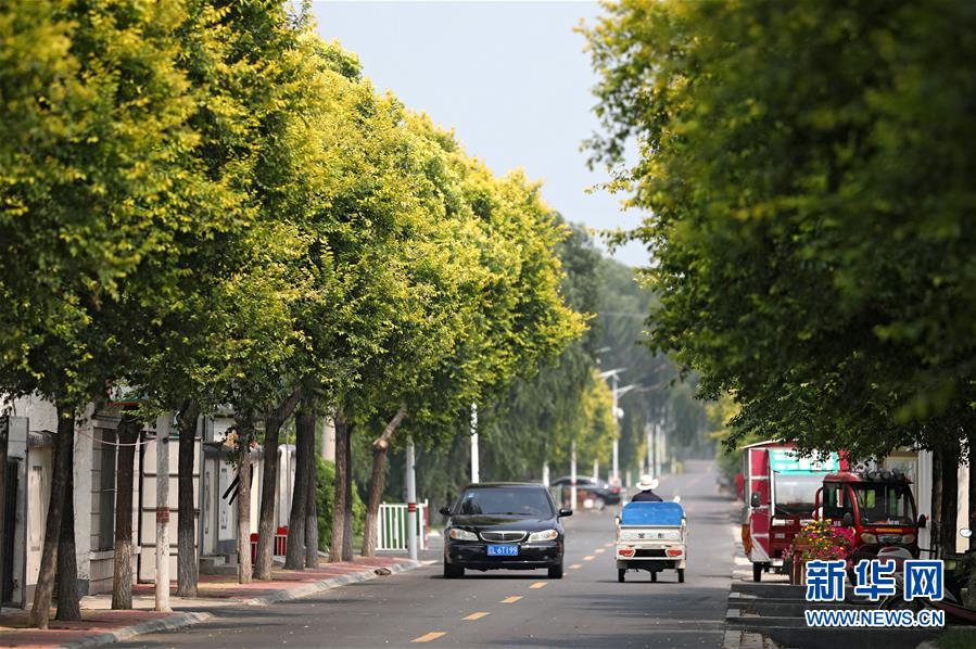 (新華全媒頭條·走向我們的小康生活·圖文互動)(3)“南大荒”變“稻蟹鄉”——資源枯竭型城市盤錦的鄉村振興之路