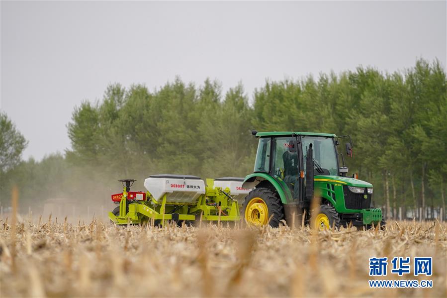 （在習近平新時代中國特色社會主義思想指引下——新時代新作為新篇章·習近平總書記關切事·圖文互動）（7）為黑土加“油”——“耕地中的大熊貓”，我們這樣保護