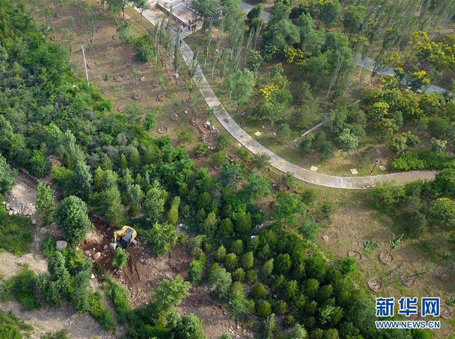 （新華全媒頭條·圖文互動）（15）扎實推進籌辦，不負青春韶華——北京冬奧會籌辦備戰克服疫情影響平穩推進