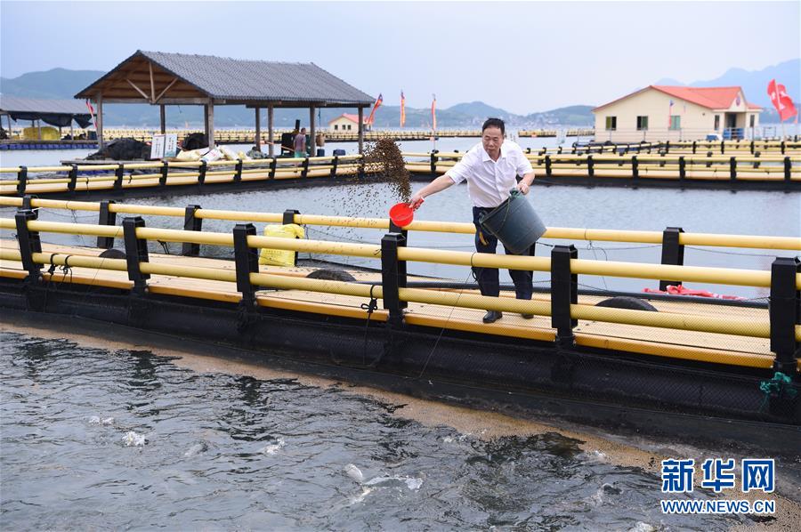 (新華全媒頭條·走向我們的小康生活·圖文互動(dòng))(9)弱鳥先飛今翱翔——閩東寧德振興啟示錄