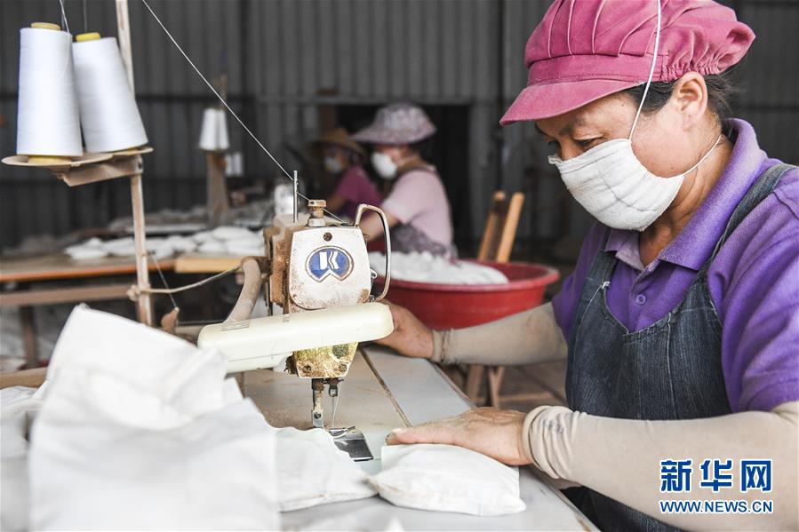 (新華全媒頭條·走向我們的小康生活·圖文互動)(9)“靠山吃山”的新路徑——探尋大瑤山的“幸福密碼”