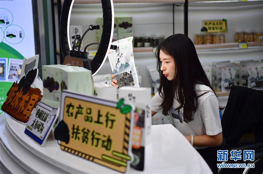 (走向我們的小康生活·圖文互動)(3)綠了青山,紅了日子——秦巴山區群眾繪出小康“調色板”