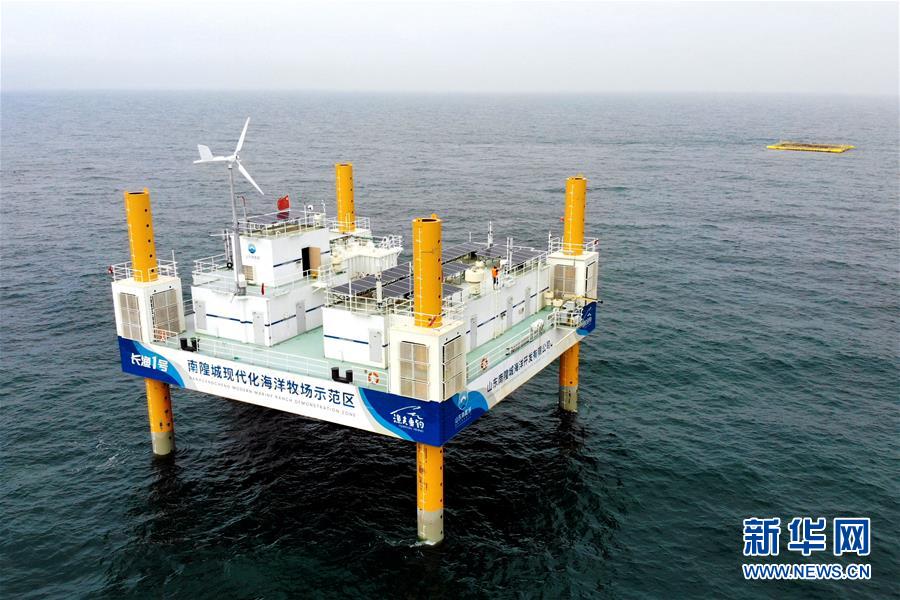 (圖文互動)(1)把“試驗田”種成“高產田”——記中國(山東)自由貿易試驗區設立一周年