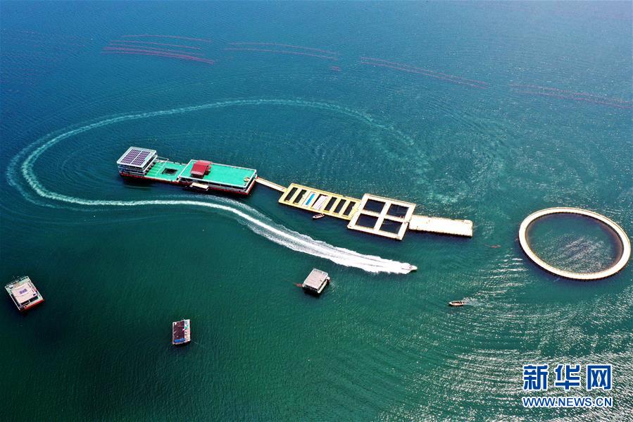 (圖文互動)(2)把“試驗田”種成“高產田”——記中國(山東)自由貿易試驗區設立一周年