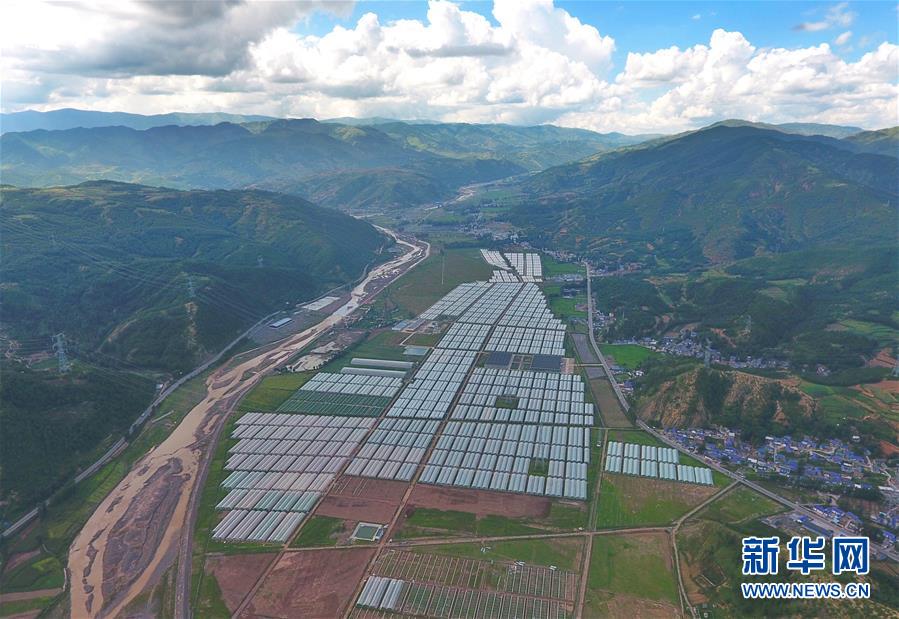 (新華全媒頭條·決戰(zhàn)決勝脫貧攻堅(jiān)·督戰(zhàn)未摘帽貧困縣·圖文互動)(10)苦蕎花開大涼山——四川7個未摘帽縣脫貧攻堅(jiān)一線觀察