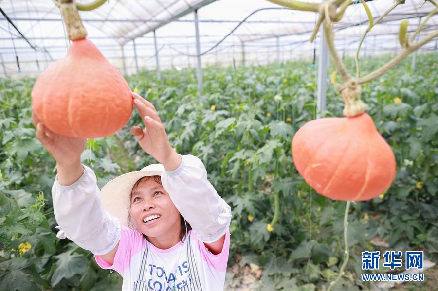 (走向我們的小康生活·決戰(zhàn)決勝脫貧攻堅(jiān)·圖文互動)(2)麻山突圍記