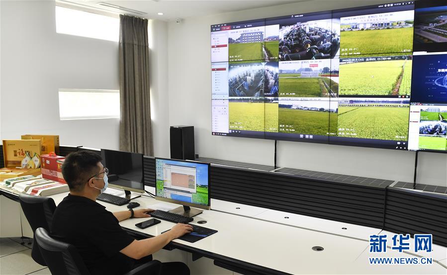 (新華全媒頭條·走向我們的小康生活·圖文互動)(4)黑土地上是我家——在吉林,一瞥中國東北鄉村美麗未來