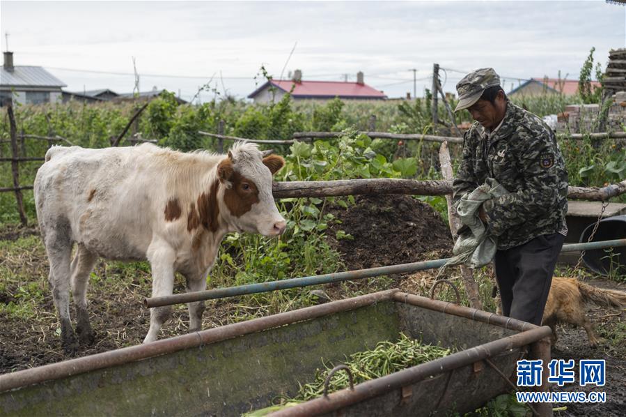 (決戰決勝脫貧攻堅·圖文互動)(2)團結村的李輝新傳