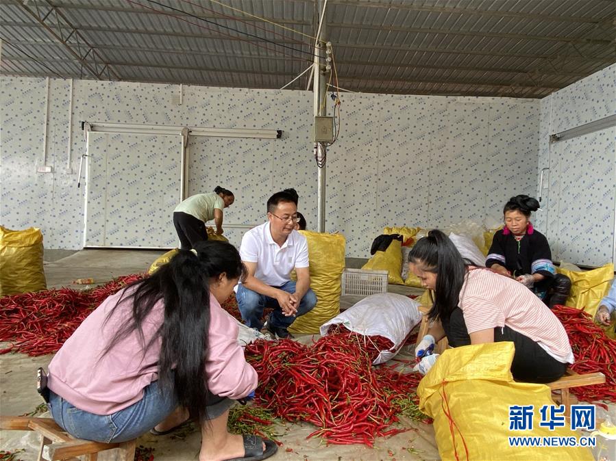 (新華全媒頭條·決戰決勝脫貧攻堅·督戰未摘帽貧困縣·圖文互動)(6)把“最能打的人”放在最需要的地方——聚焦貴州未脫貧縣里的“助攻干部”