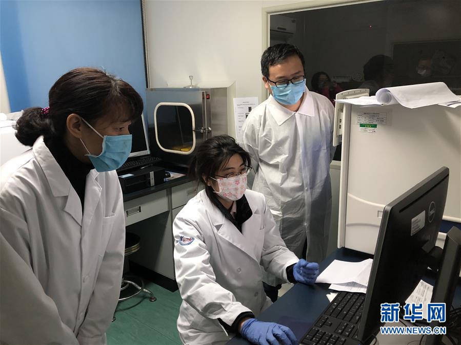 (抗疫一線醫(yī)務(wù)人員英雄群體·圖文互動)(4)合力筑起生命防線——記天津市對口支援恩施州疾控工作隊(duì)