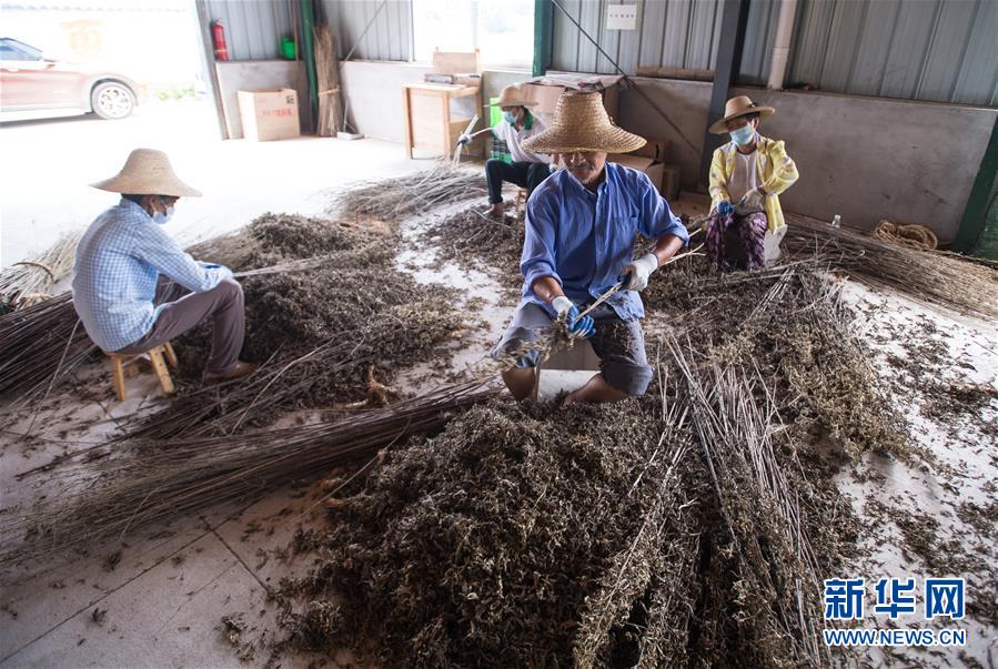 (新華全媒頭條·走向我們的小康生活·圖文互動)(10)特殊之年,荊楚大地書寫不平凡的答卷