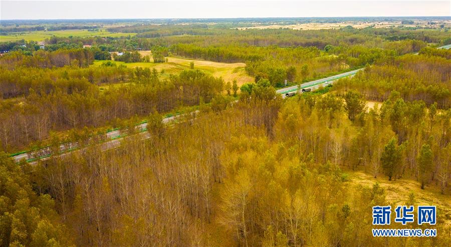 （在習近平新時代中國特色社會主義思想指引下——新時代新作為新篇章·習近平總書記關切事·圖文互動）（3）綠意，在黃沙中鋪展——我國防沙治沙紀實
