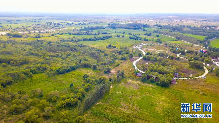（在習近平新時代中國特色社會主義思想指引下——新時代新作為新篇章·習近平總書記關切事·圖文互動）（1）綠意，在黃沙中鋪展——我國防沙治沙紀實