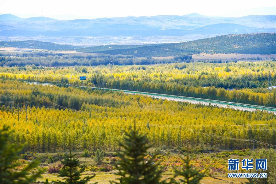 （在習近平新時代中國特色社會主義思想指引下——新時代新作為新篇章·習近平總書記關切事·圖文互動）（7）綠意，在黃沙中鋪展——我國防沙治沙紀實