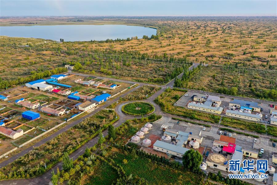 （在習近平新時代中國特色社會主義思想指引下——新時代新作為新篇章·習近平總書記關切事·圖文互動）（12）綠意，在黃沙中鋪展——我國防沙治沙紀實