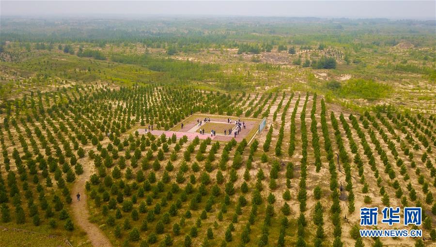 （在習近平新時代中國特色社會主義思想指引下——新時代新作為新篇章·習近平總書記關切事·圖文互動）（2）綠意，在黃沙中鋪展——我國防沙治沙紀實